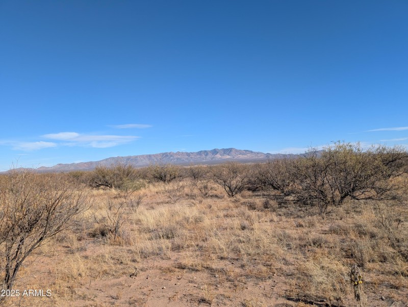 Mule Mountains to East