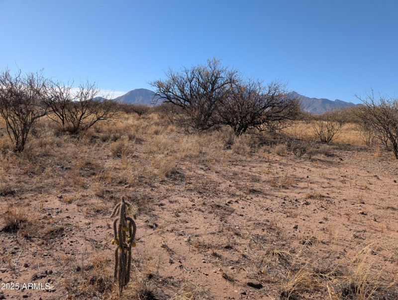 Huachuca Mountains to west