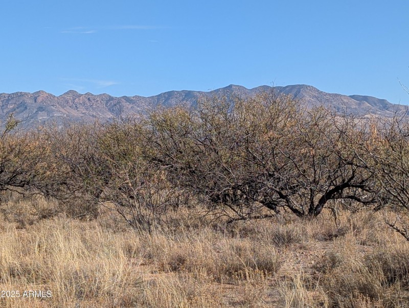 Deer and wildlife abound