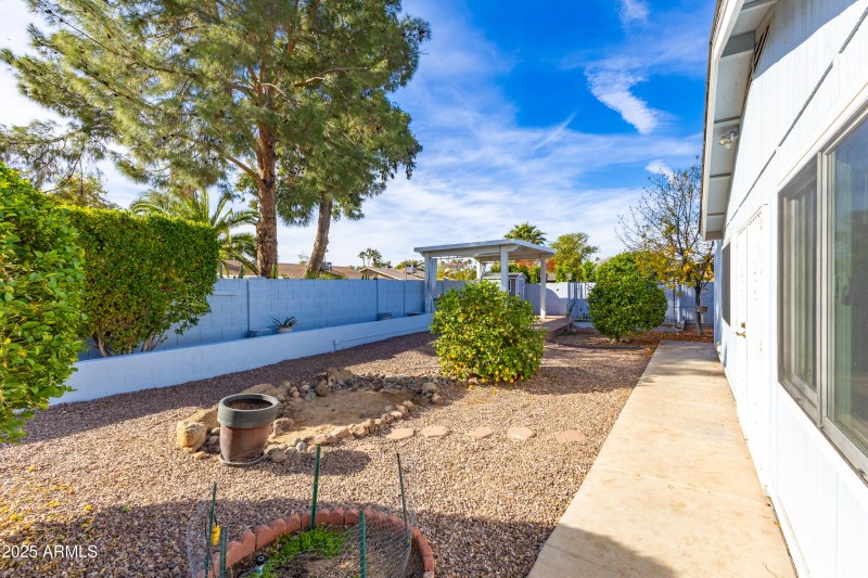 Backyard