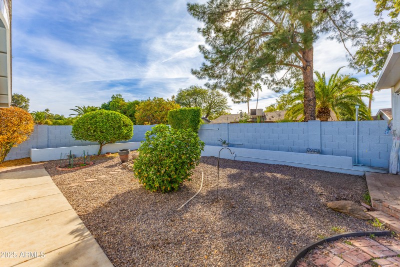 Backyard Garden