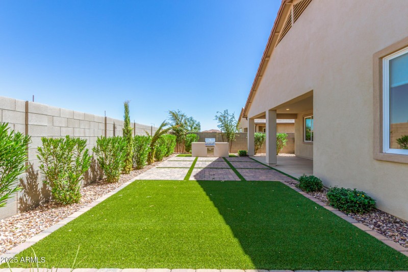 Back Yard