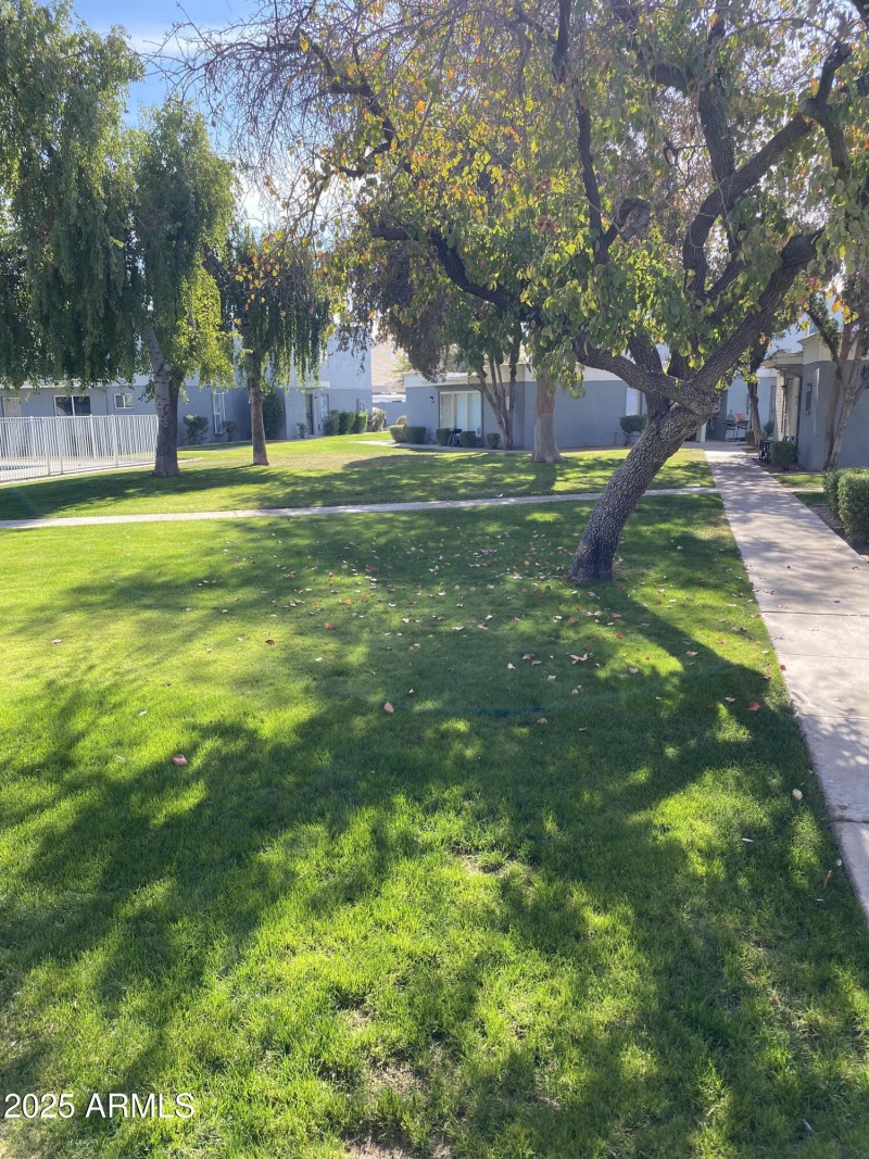Ocotillo - Grounds 2