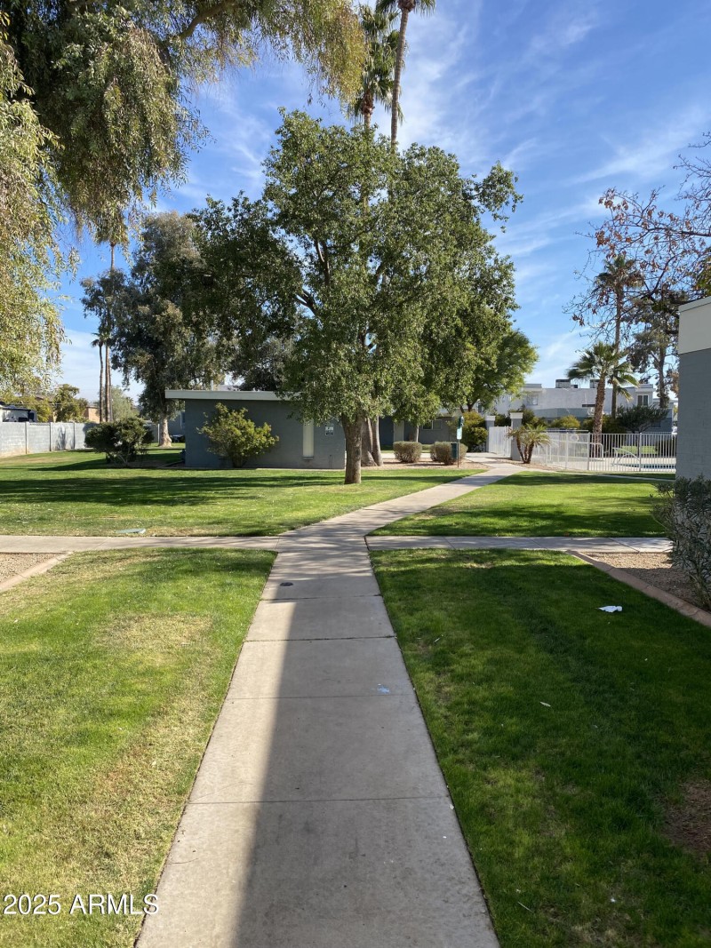 Ocotillo - Grounds