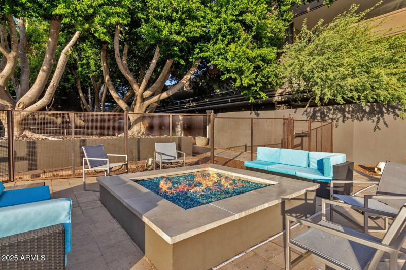 Community Gas Firepit