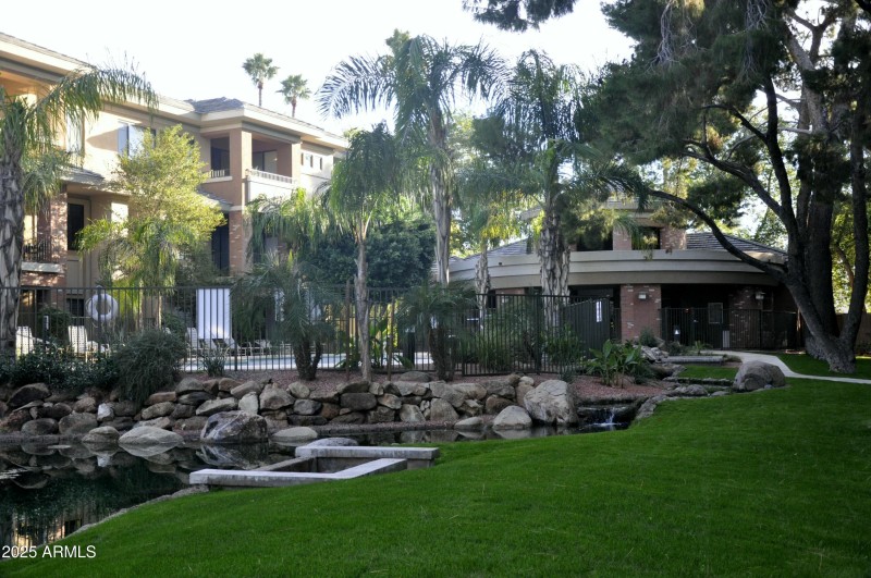 Upper Pond Area