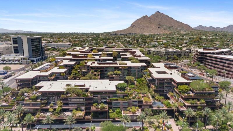 Optima Camelview