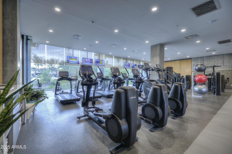 World Class Fitness Area