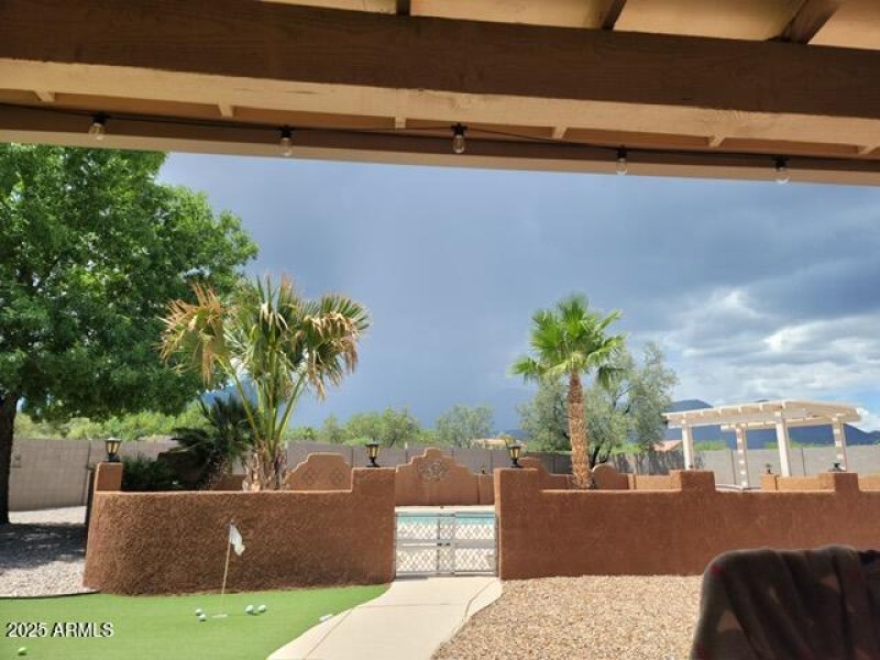 Backyard