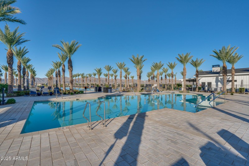 Lap Pool