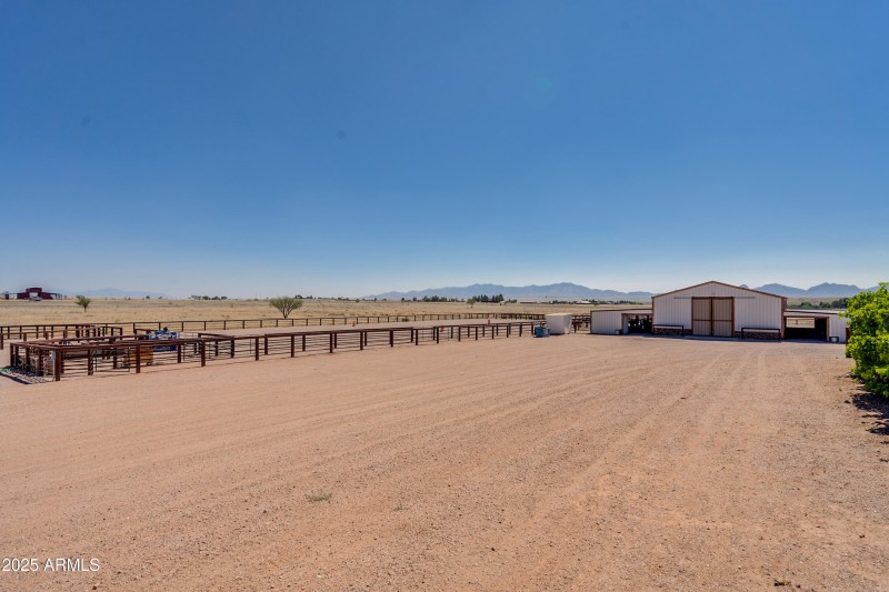 Curly Horse Ranch-82