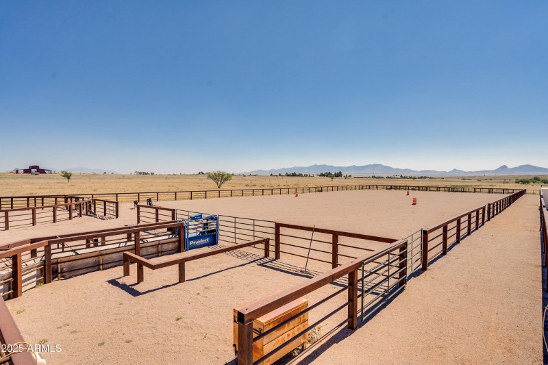 Curly Horse Ranch-84
