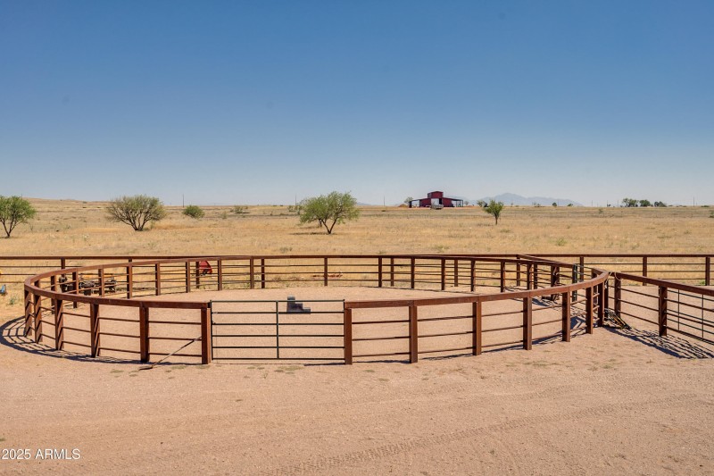 Curly Horse Ranch-85