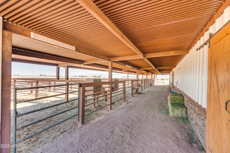 Curly Horse Ranch-91