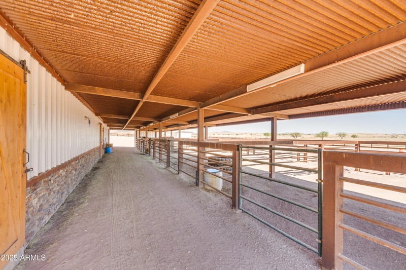 Curly Horse Ranch-92