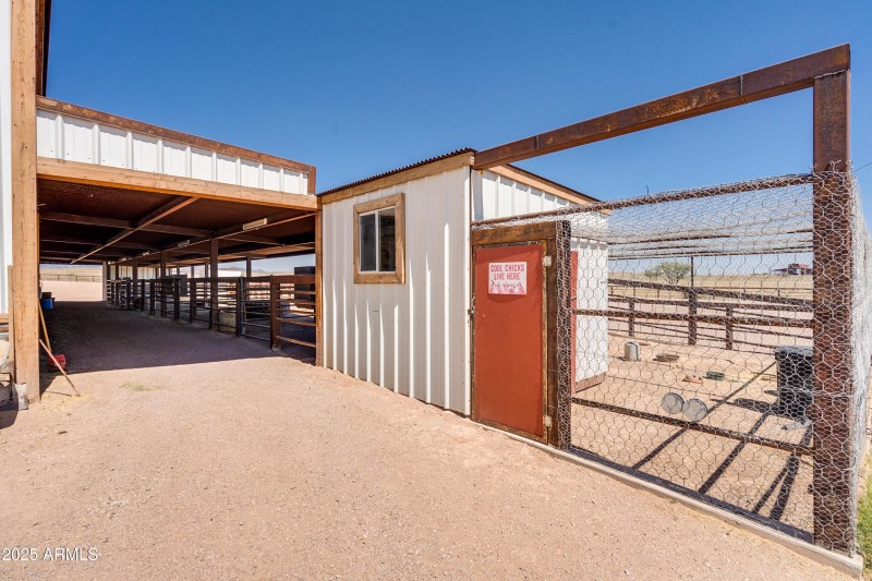 Curly Horse Ranch-93