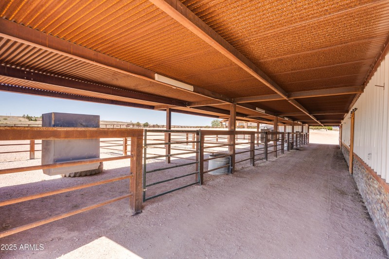 Curly Horse Ranch-94