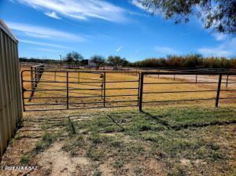 Pastures
