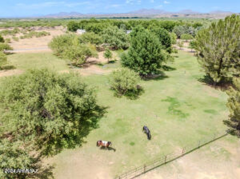 Irrigated Pasture