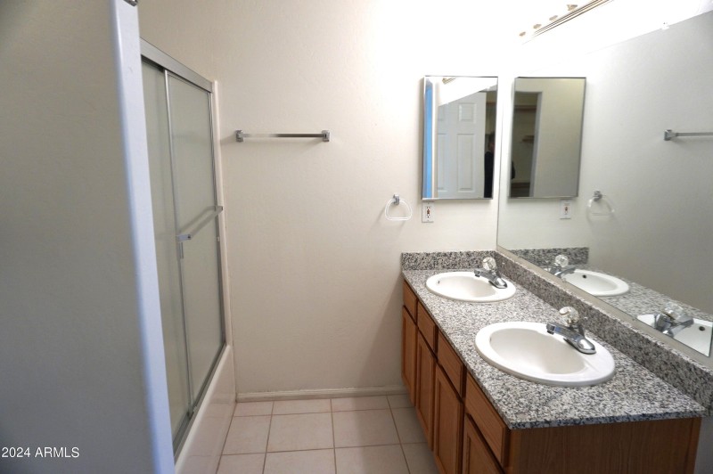 Master dual sinks