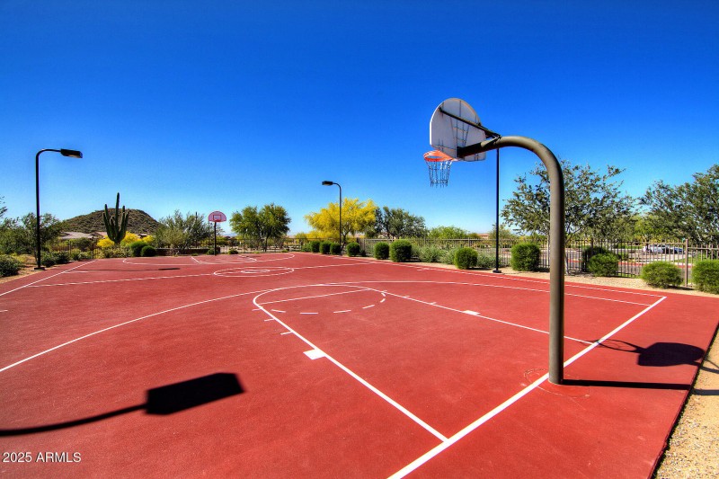 Basketball, Tennis, Pickleball