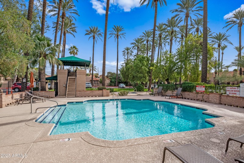 Community Pool & Deck