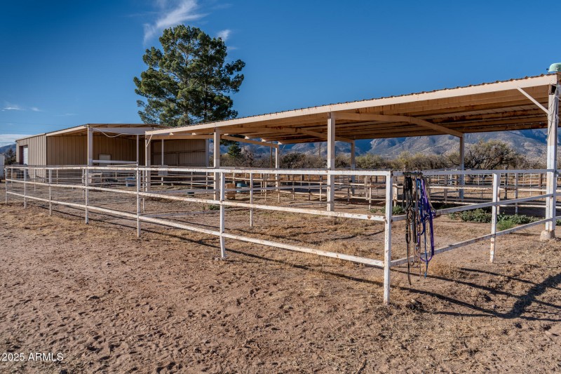 Stalls_2