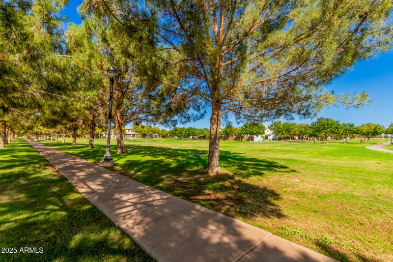 68 Sagebrush 3901