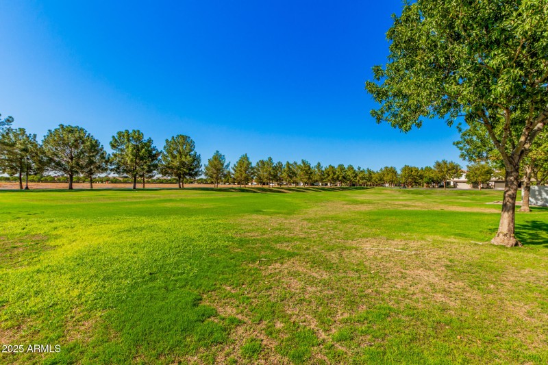 74 Sagebrush 3901