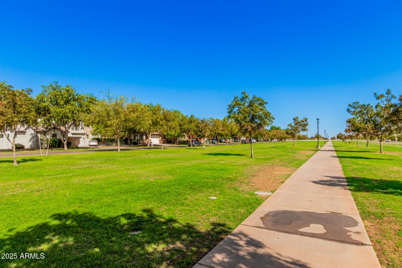 75 Sagebrush 3901