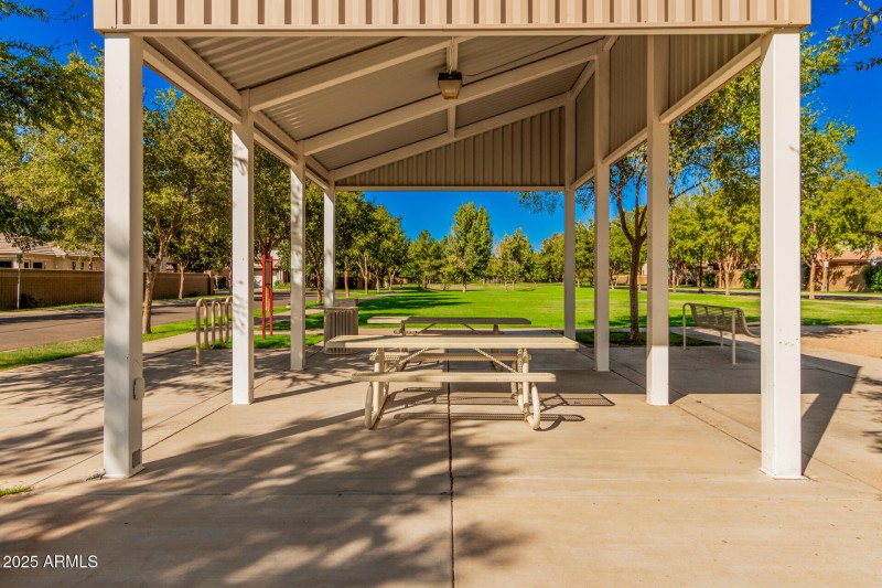 80 Sagebrush 3901