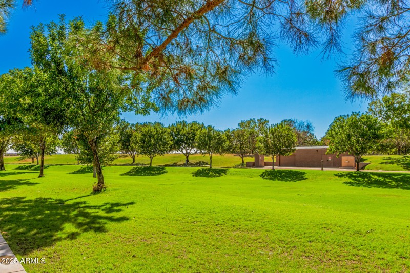 81 Sagebrush 3901