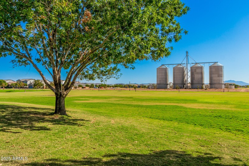 86 Sagebrush 3901