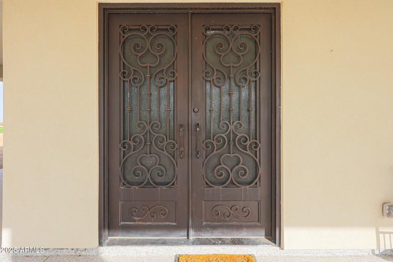 Beautiful Wrought Iron Doors w/glass