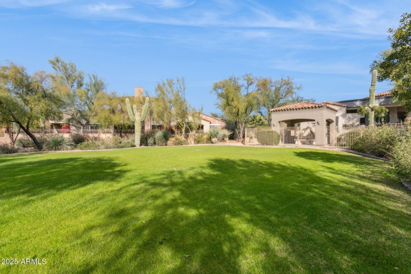 Backyard View