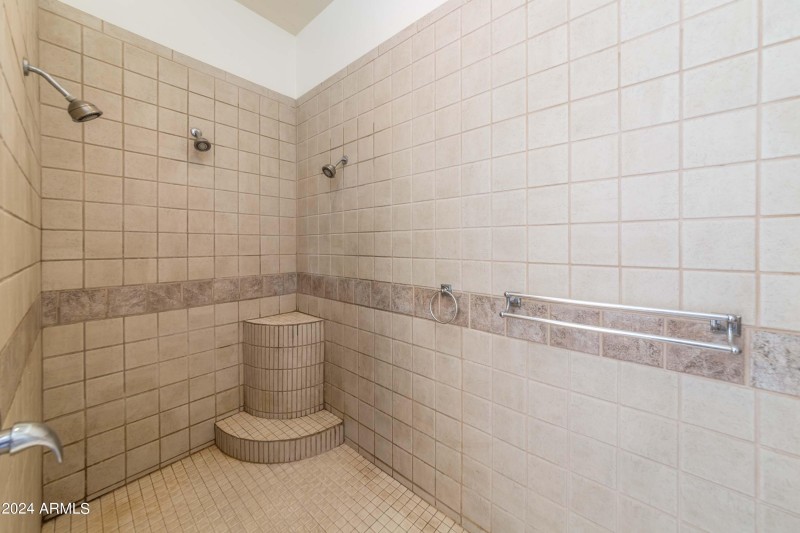 Primary Shower