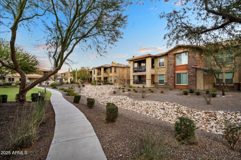 Desert Village