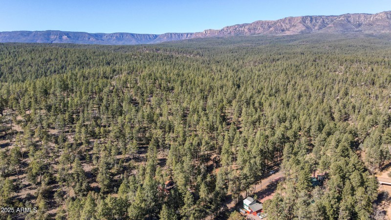 mls-dji_fly_20250110_121758_186_17365422