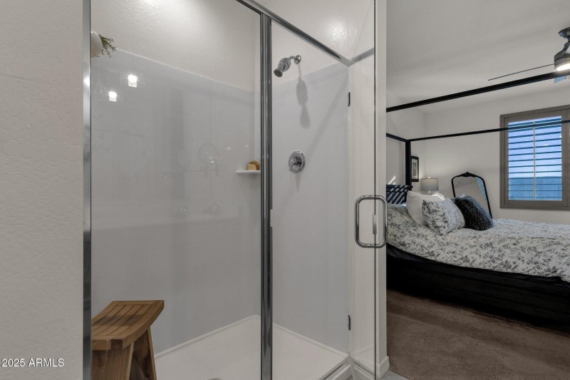Primary Shower