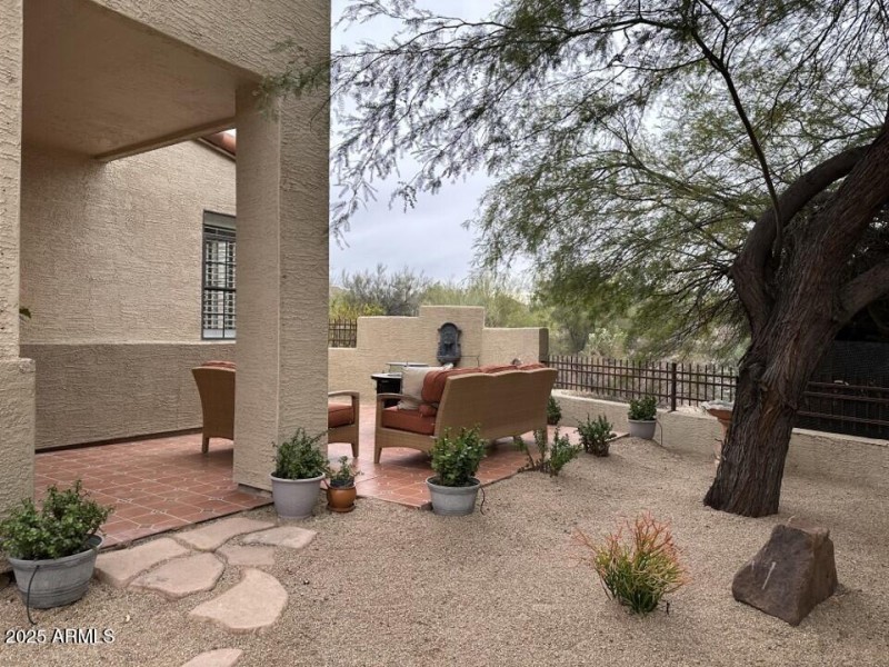 Backyard 1