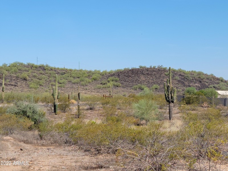 20220801_090616_resized