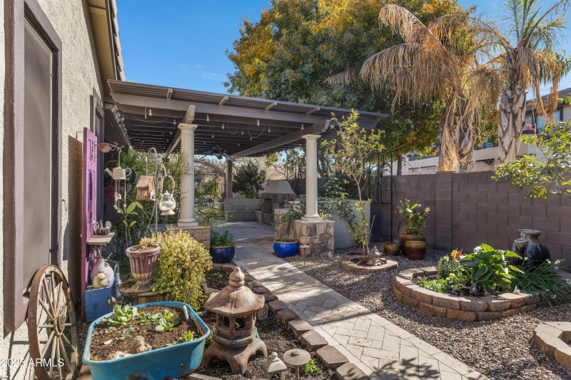 Beautiful Backyard