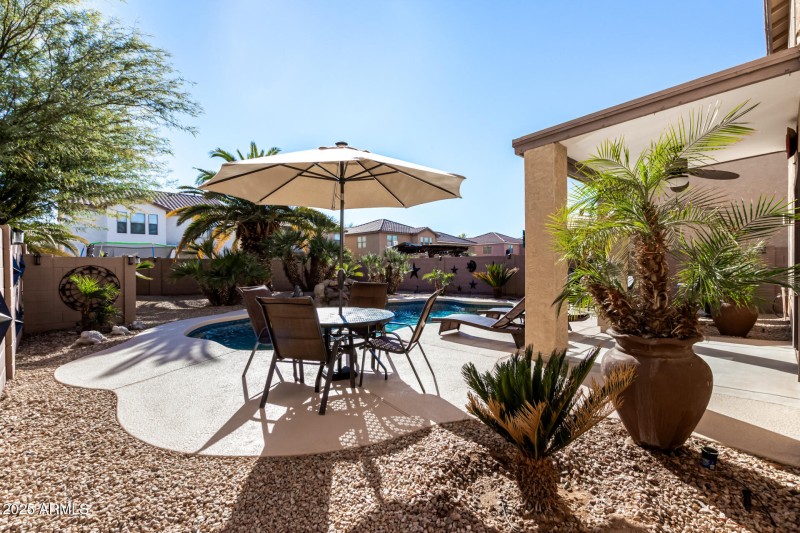 43 Backyard
