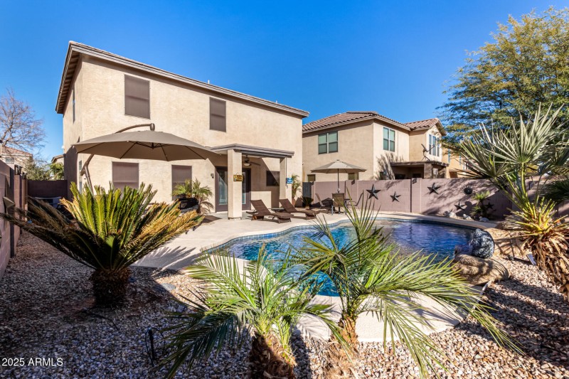 42 Backyard