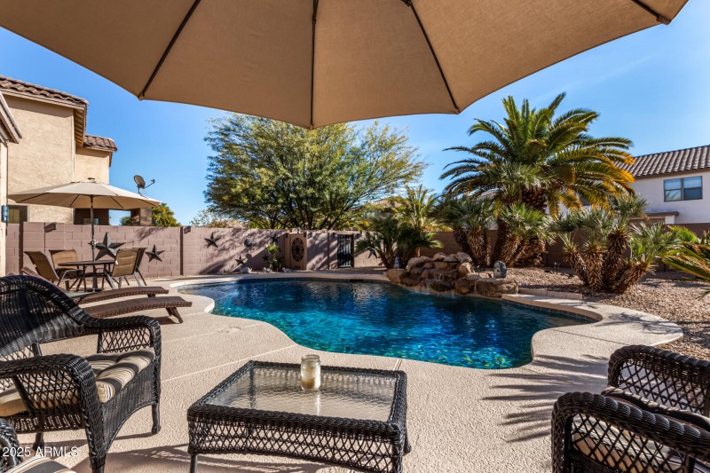 46 Backyard