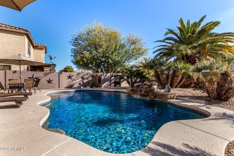 47 Backyard
