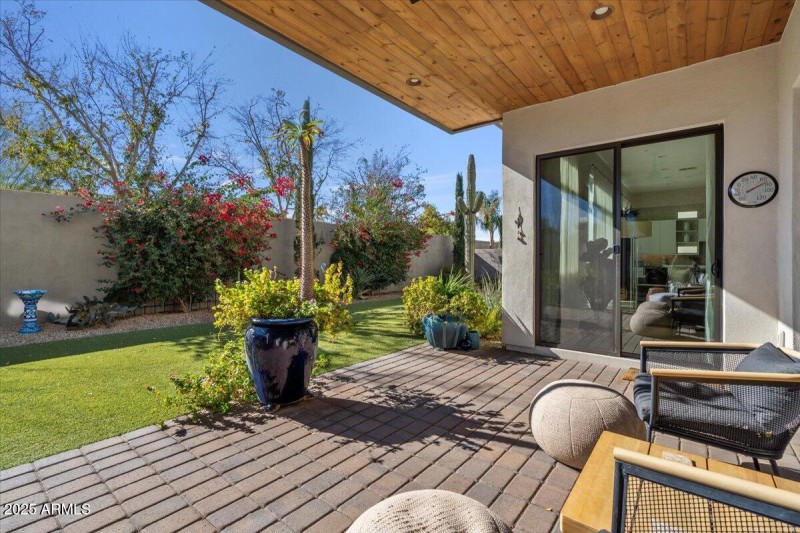 Backyard