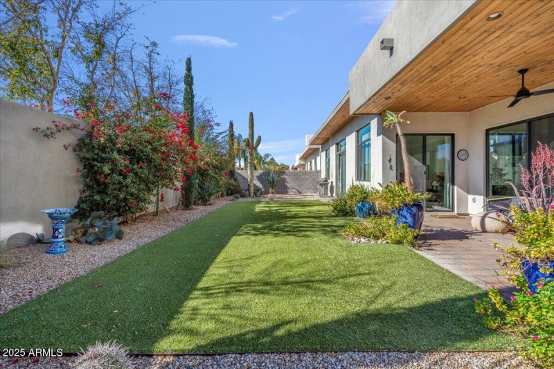 Backyard