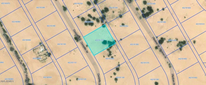 Screen Shot 2025-01-15 at 1.44.41 PM