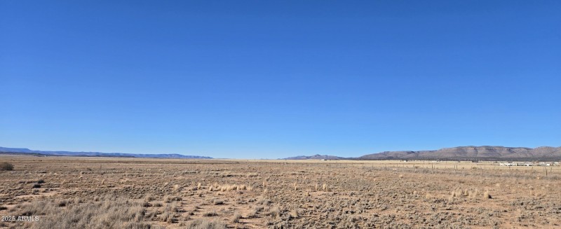 Panoramic View 1